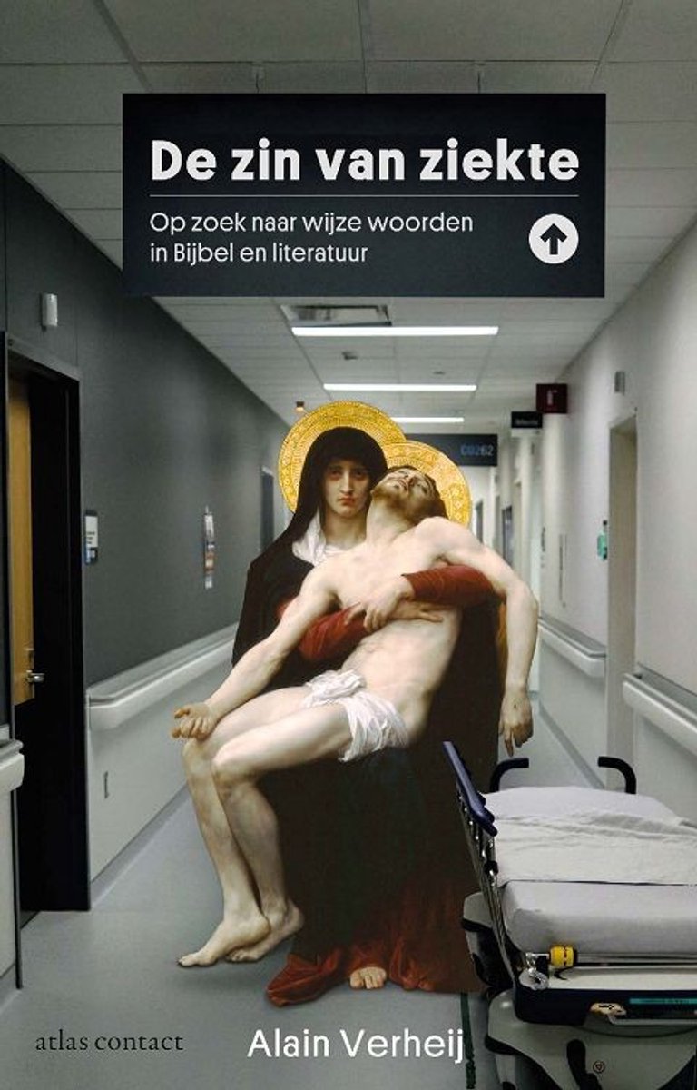 Boek "De zin van ziekte" met een afbeelding van de Piëta in een ziekenhuisgang.