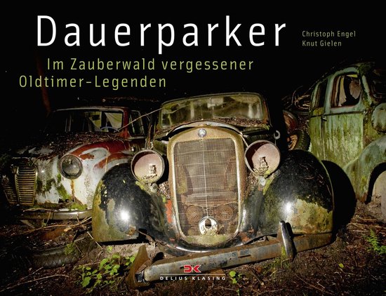 Dauerparker - cover
