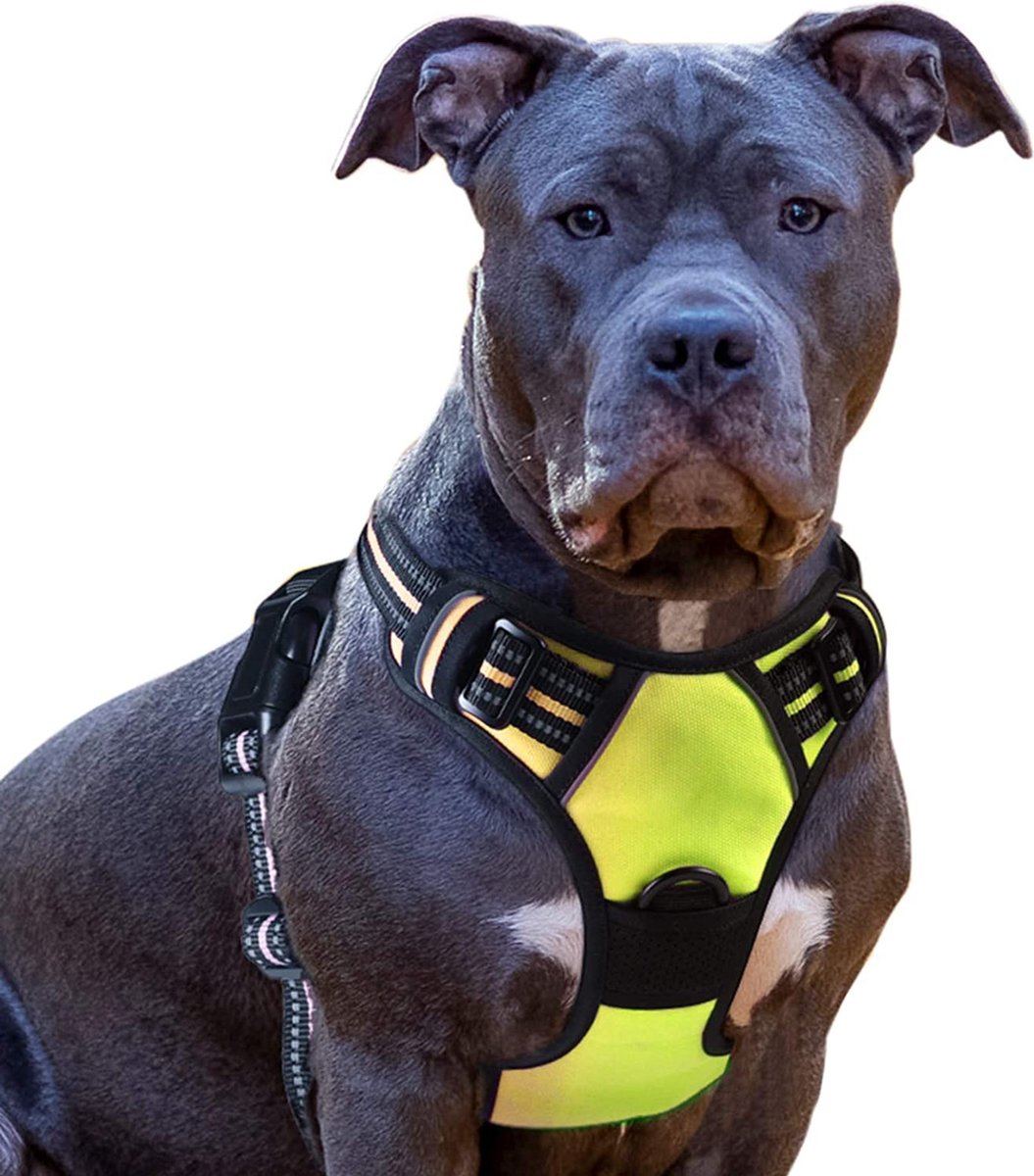 Hondentuig Voor Grote Honden, Anti-trekharnas, Reflecterend Niet Trekkend Ademend Hondentuig Lichtgewicht Borsttuig Grote Middelgrote Honden Veiligheidsharnas Zacht
