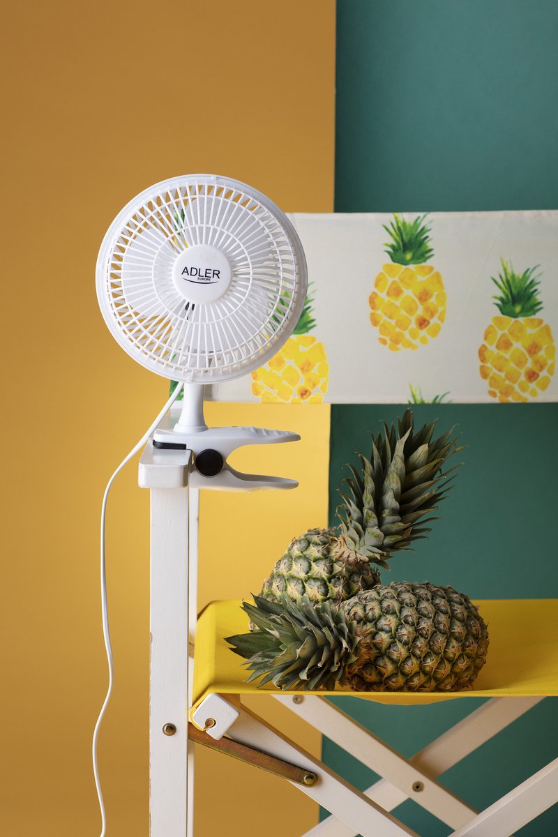 Vind de Beste Ventilator voor Verkoeling (nov. 2023