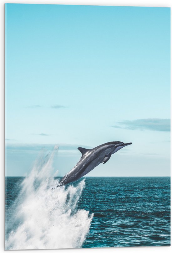 WallClassics - Verre acrylique - Dauphin sautant de la mer - Photo 50x75 cm sur verre acrylique (avec système de suspension)