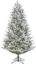 Black Box Trees - Frasier kerstboom groen frosted TIPS 1693 - h185xd124cm - Kerstbomen