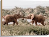 WallClassics - Hout - Begroeting van Afrikaanse Olifanten - 80x60 cm - 12 mm dik - Foto op Hout (Met Ophangsysteem)