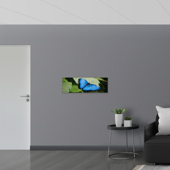 WallClassics - Dibond - Blauw avec papillon noir - Photo sur aluminium 90x30 cm (avec système de suspension)