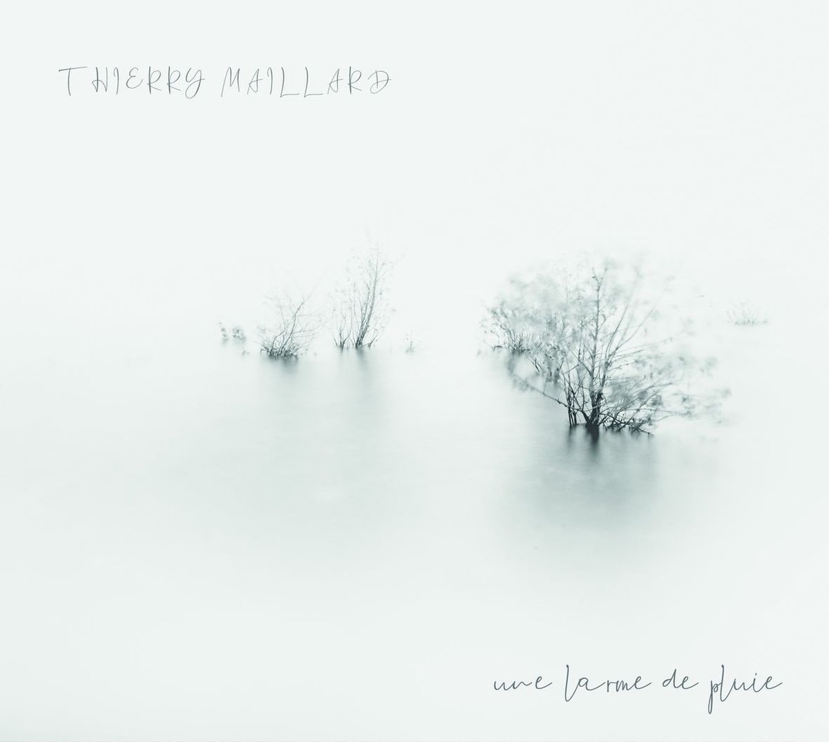 Thierry Maillard Big Band - Une Larme De Pluie (CD)