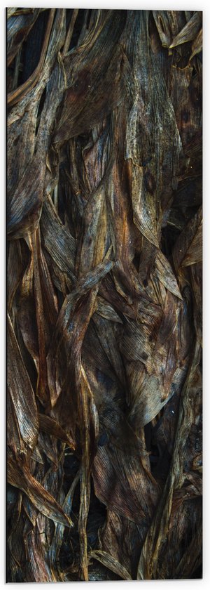 WallClassics - Dibond - Bruine Bladeren - 40x120 cm Foto op Aluminium (Met Ophangsysteem)