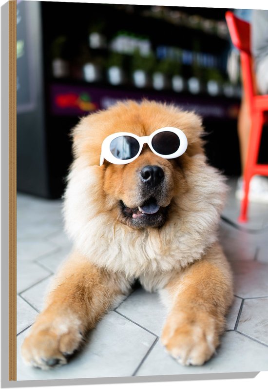 WallClassics - Hout - Coole Hond met Zonnebril - 60x90 cm - 12 mm dik - Foto op Hout (Met Ophangsysteem)