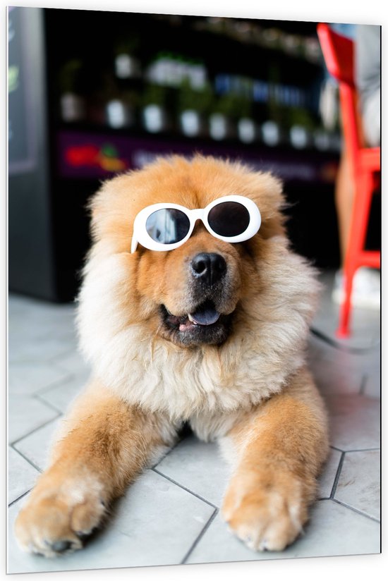 WallClassics - PVC Schuimplaat- Coole Hond met Zonnebril - 100x150 cm Foto op PVC Schuimplaat