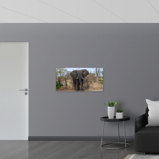 WallClassics - Poster Glossy – Éléphant Savannah Gris - 100x50 cm Photo sur Papier Poster avec Finition Brillante