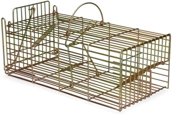 Repose-Pieds En Bois King Collection – 35 X 17,5 X 15,5 Cm, Soutien Ergonomique Multicolore