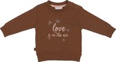 Frogs and Dogs - Winter Flower Sweater Love Hearts is in the Air - Roze - Maat 56 -