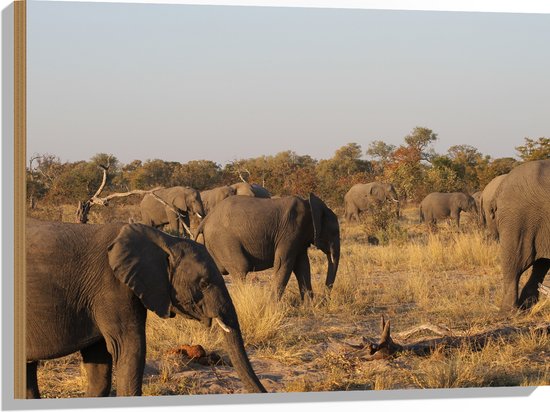 WallClassics - Hout - Kudde Afrikaanse Olifanten - 80x60 cm - 12 mm dik - Foto op Hout (Met Ophangsysteem)
