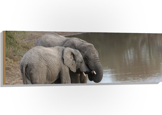 WallClassics - Hout - Drinkende Olifanten bij een Meer - 120x40 cm - 12 mm dik - Foto op Hout (Met Ophangsysteem)