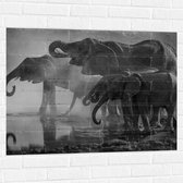 WallClassics - Muursticker - Olifanten aan een Meer Zwart / Wit - 100x75 cm Foto op Muursticker
