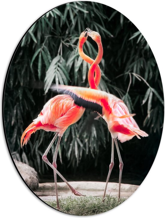 WallClassics - Dibond Ovaal - Dansende Flamingo's - 30x40 cm Foto op Ovaal (Met Ophangsysteem)