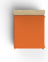 Drap housse jersey - orange - 100x220 cm - stretch - 100% coton
