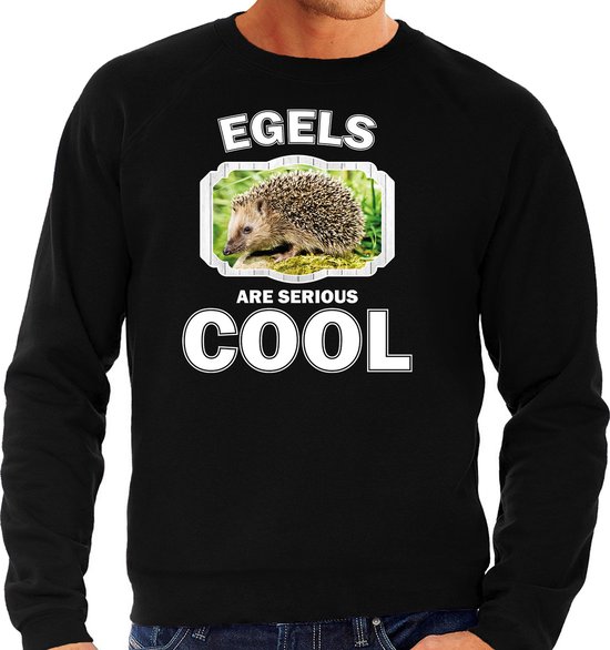 Dieren egels sweater zwart heren - egels are serious cool trui - cadeau sweater egel/ egels liefhebber M