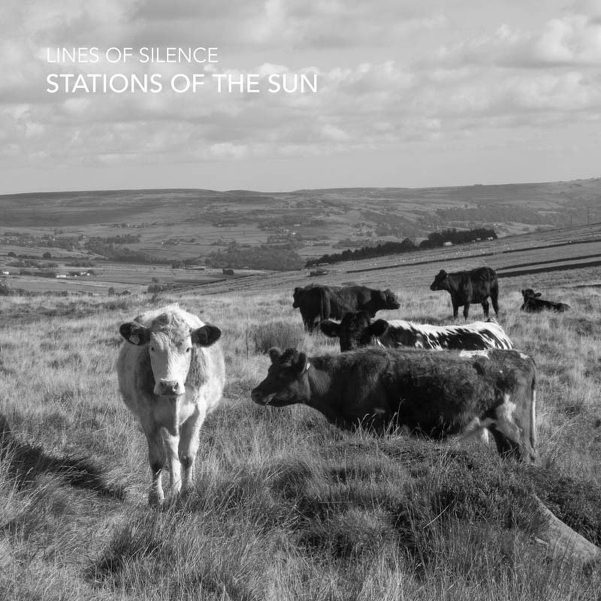 Lines Of Silence - Stations Of The Sun (CD)