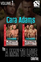A Man to Love - A Man to Love Collection, Volume 1