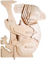 3D Puzzel Bouwpakket Koala- hout
