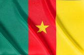 Vlag Kameroen | Kameroense Vlag |  Alle Afrikaanse vlaggen | 52 soorten vlaggen | 150x100cm