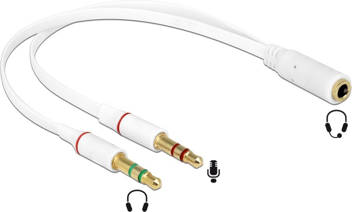 Delock - Hoofdtelefoon adapter