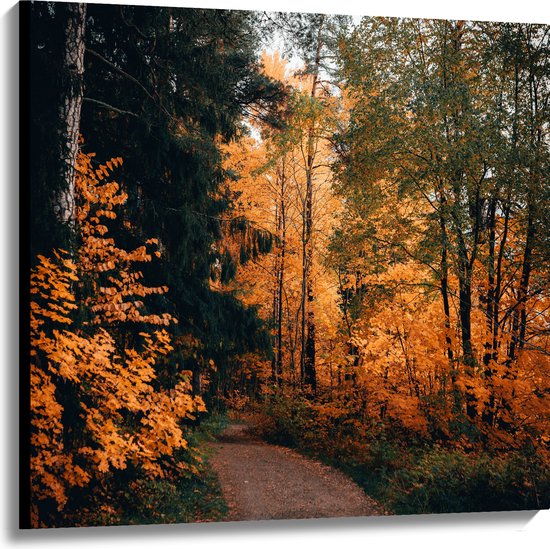 WallClassics - Canvas  - Herfst Bomen Langs Pad - 100x100 cm Foto op Canvas Schilderij (Wanddecoratie op Canvas)