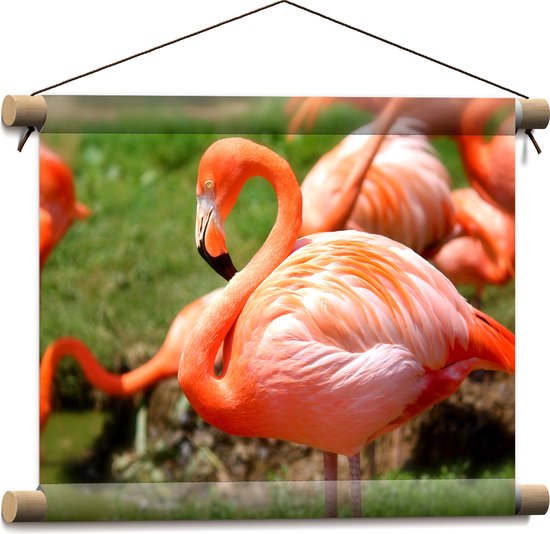 WallClassics - Textielposter - Close-Up van een Flamingo - 40x30 cm Foto op Textiel
