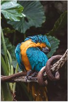 WallClassics - Poster Glanzend – Gekke Papegaai op een Tak - 80x120 cm Foto op Posterpapier met Glanzende Afwerking