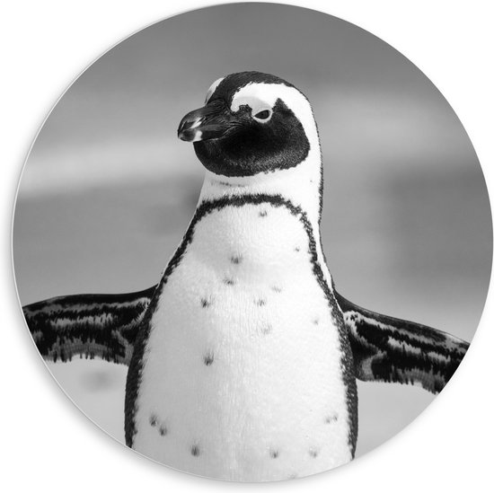 WallClassics - PVC Schuimplaat Muurcirkel - Vrolijke Pinguïn Zwart / Wit - 80x80 cm Foto op Muurcirkel (met ophangsysteem)