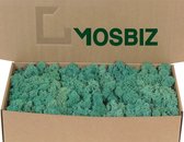 MosBiz Rendiermos Pacific Green per 500 gram voor decoraties en mosschilderijen