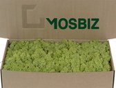 MosBiz Rendiermos Old Green per 500 gram voor decoraties en mosschilderijen