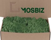 MosBiz Rendiermos Grass Green per 500 gram voor decoraties en mosschilderijen