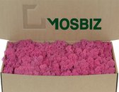 MosBiz Rendiermos Fuchsia per 500 gram voor decoraties en mosschilderijen