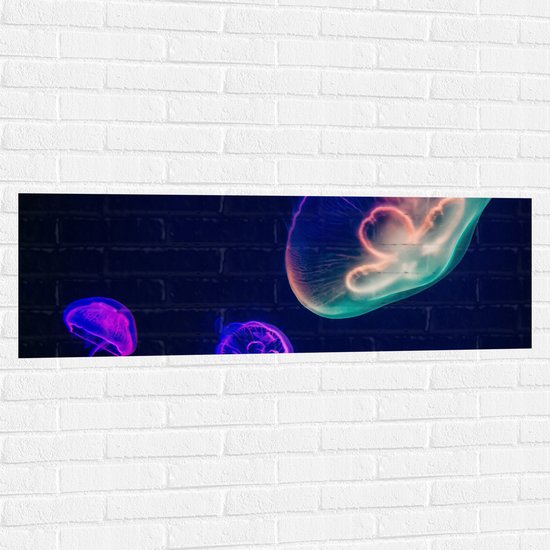 WallClassics - Muursticker - Gekleurde Kwal onder Water - 120x40 cm Foto op Muursticker