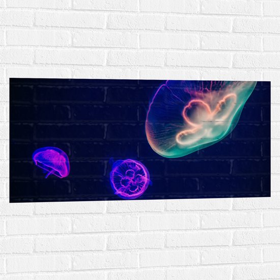 WallClassics - Muursticker - Gekleurde Kwal onder Water - 100x50 cm Foto op Muursticker