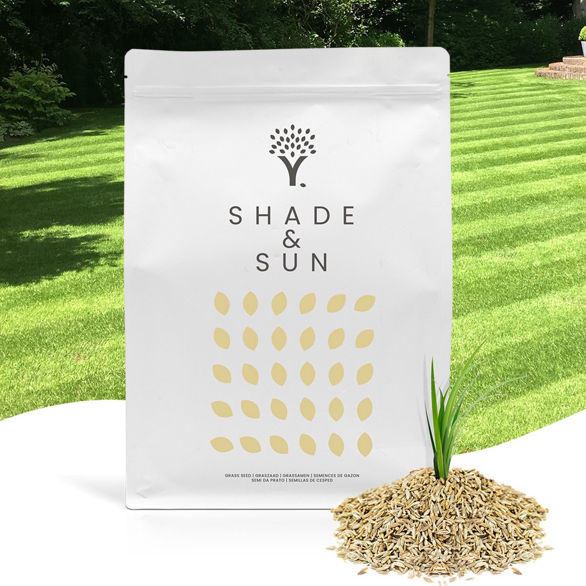 MOOWY Schaduw Graszaad voor 50m² Gazon - Shade & Sun Gras voor een Gazon met Veel Schaduw - Hitte & Droogte Resistent