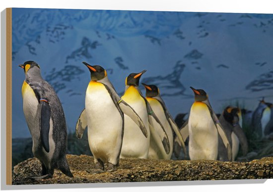 WallClassics - Hout - Keizer Pinguïns op een Rijtje - 90x60 cm - 12 mm dik - Foto op Hout (Met Ophangsysteem)