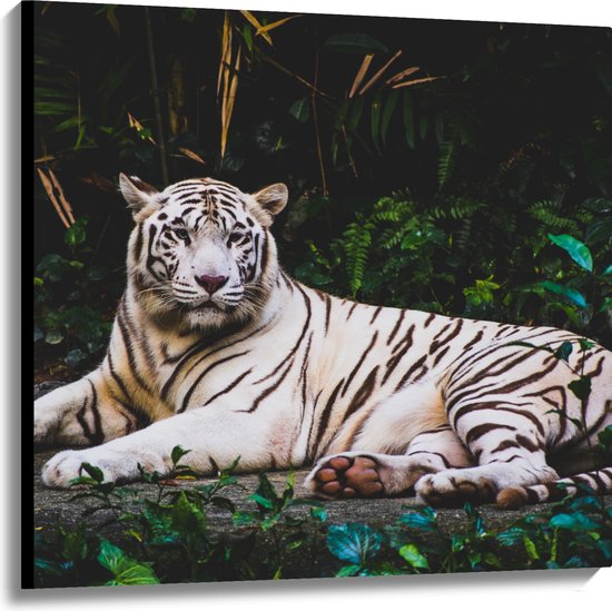 WallClassics - Canvas  - Witte Tijger in de Jungle - 100x100 cm Foto op Canvas Schilderij (Wanddecoratie op Canvas)