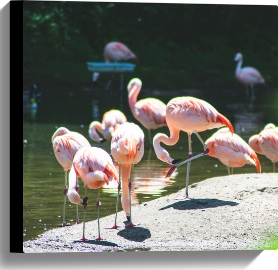 WallClassics - Canvas  - Roze Flamingo's aan het Water - 40x40 cm Foto op Canvas Schilderij (Wanddecoratie op Canvas)