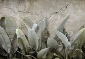 Fotobehang - Vlies Behang - Bananenbladeren op Betonnen Muur - Jungle Planten - 368 x 254 cm