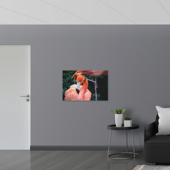 WallClassics - Poster (Matte) - Beautiful Pink Flamingo - 90x60 cm Photo sur Papier Poster avec un aspect Mat