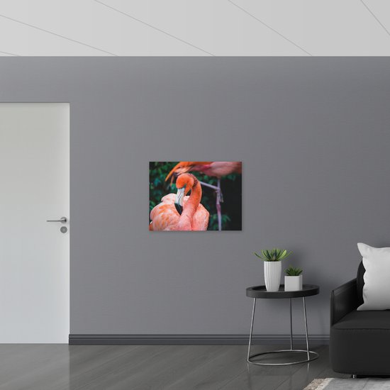 WallClassics - Poster (Mat) - Magnifique Flamingo rose - Photo 80x60 cm sur papier poster mat