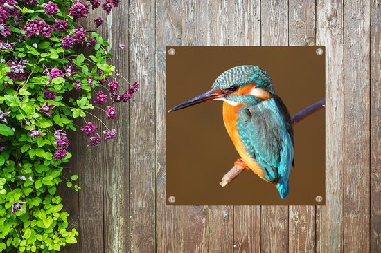 Tissu de jardin Kingfisher - Branches - Coloré - 100x100 cm