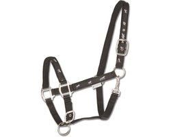 Halster paard Motief azuurblauw