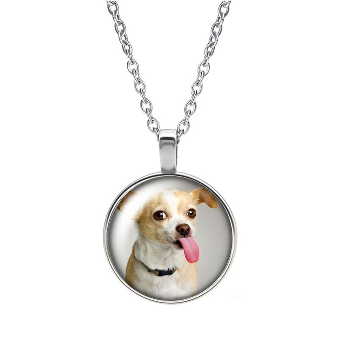 Ketting Glas - Hond
