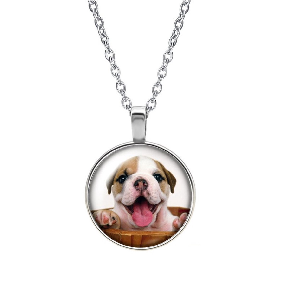 Ketting Glas - Hond