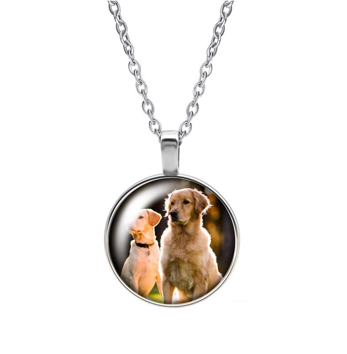 Ketting Glas - Honden