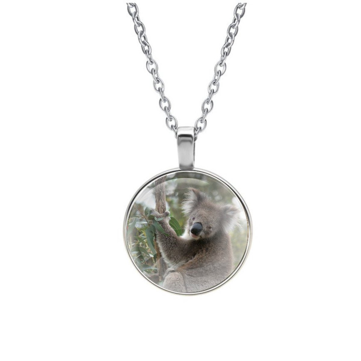 Ketting Glas - Koala