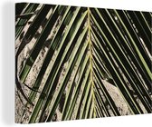 Canvas Schilderij Palmblad - Tropisch - Zomer - 120x80 cm - Wanddecoratie